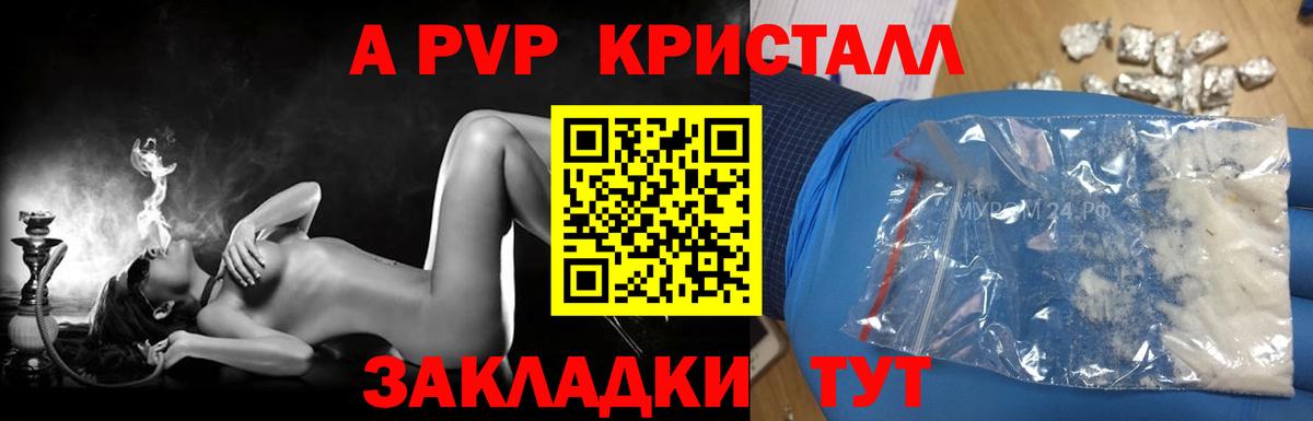 Альфа ПВП СК КРИС Славянск-на-Кубани