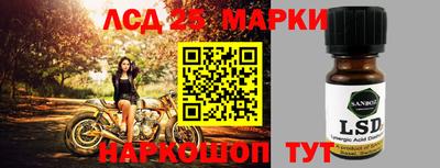 стаф Новозыбков