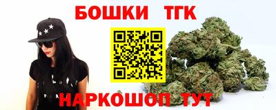 стаф Новозыбков