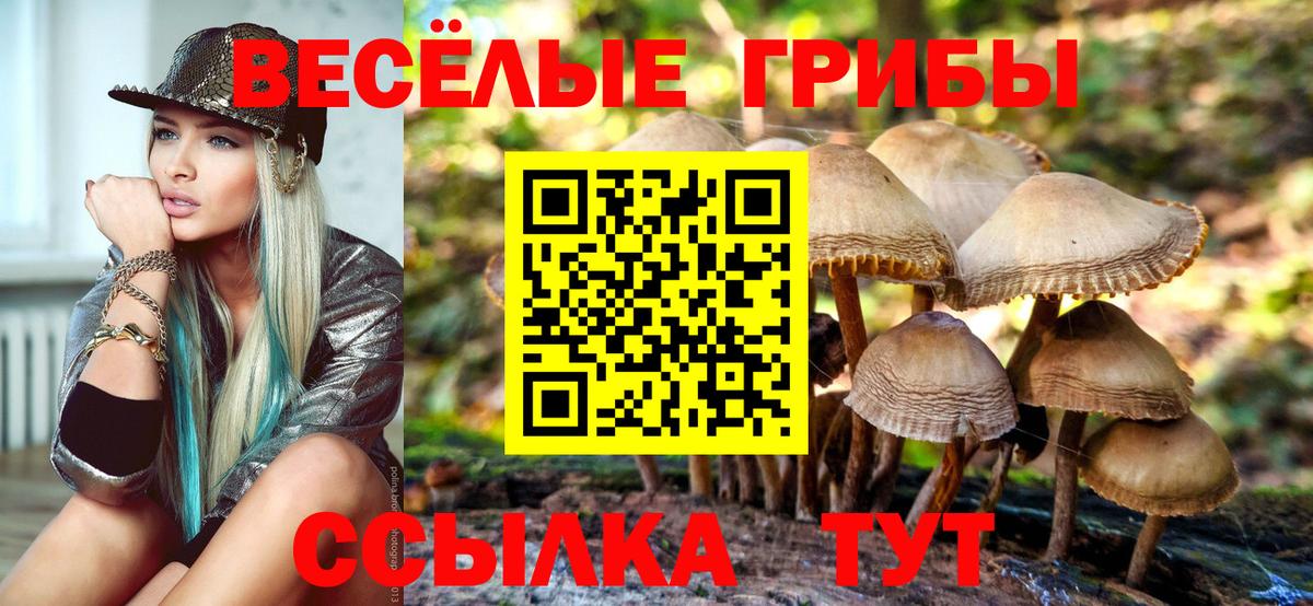Псилоцибиновые грибы MAGIC MUSHROOMS Славянск-на-Кубани